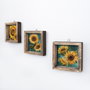 Wallity Set de 3 Cuadros Decorativos UKZM005